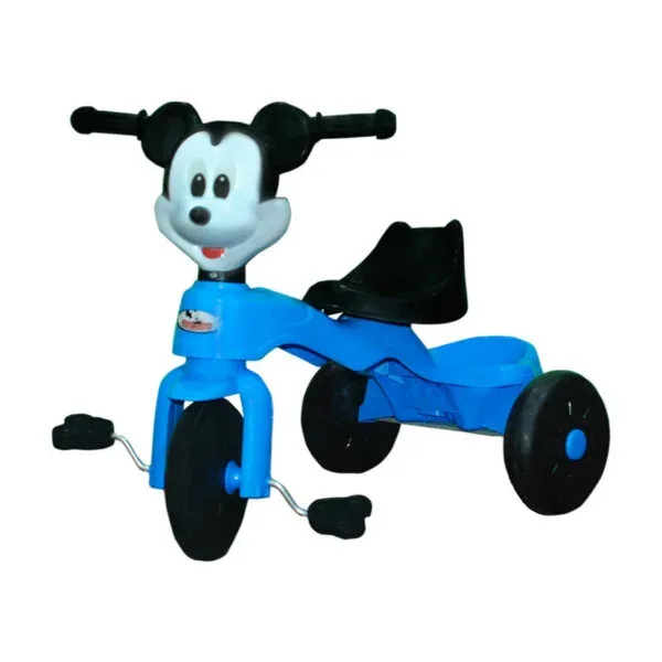 Stylish & Safe Tricycle for Kids
